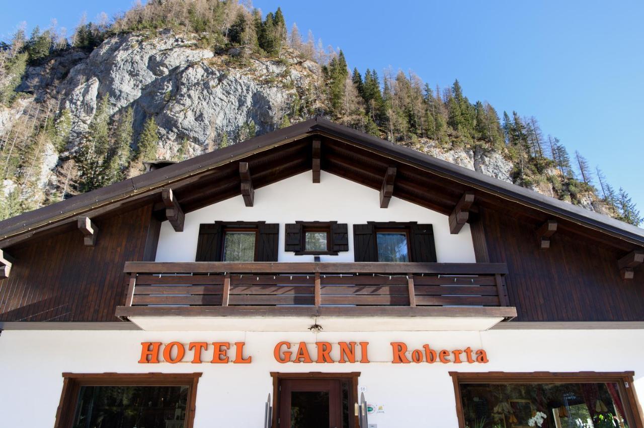 Hotel Garni Roberta Malga Ciapela Εξωτερικό φωτογραφία